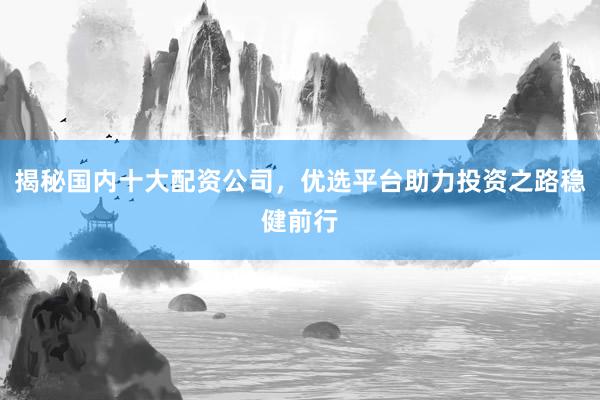 揭秘国内十大配资公司，优选平台助力投资之路稳健前行