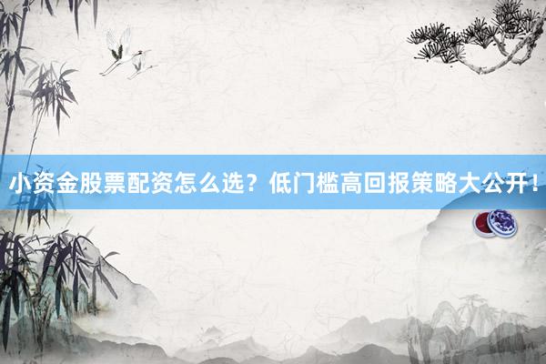 小资金股票配资怎么选？低门槛高回报策略大公开！