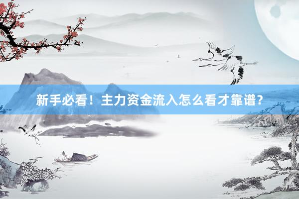 新手必看！主力资金流入怎么看才靠谱？