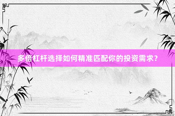 多倍杠杆选择如何精准匹配你的投资需求？
