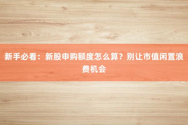 新手必看：新股申购额度怎么算？别让市值闲置浪费机会