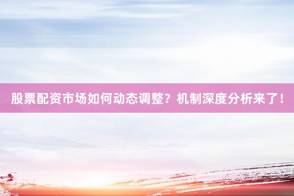 股票配资市场如何动态调整？机制深度分析来了！