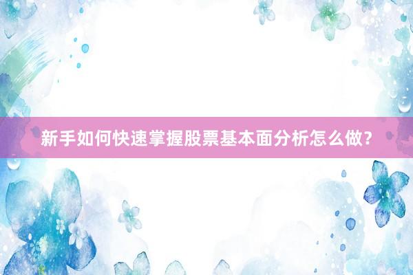 新手如何快速掌握股票基本面分析怎么做？