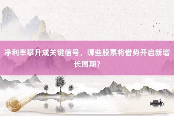 净利率攀升成关键信号，哪些股票将借势开启新增长周期？