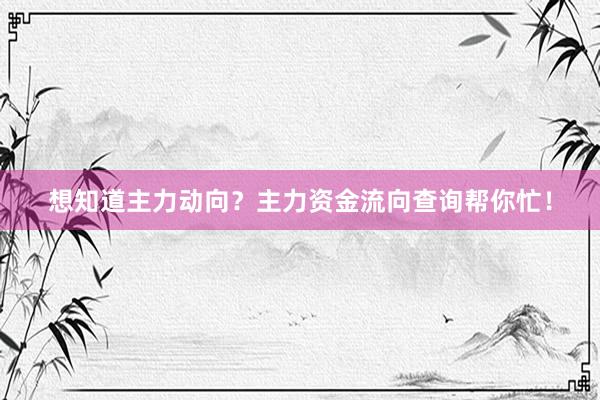 想知道主力动向？主力资金流向查询帮你忙！