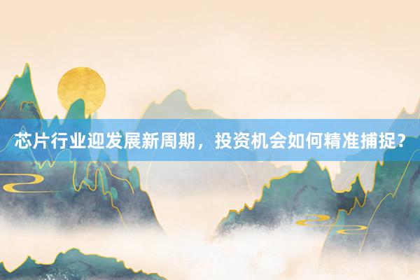 芯片行业迎发展新周期，投资机会如何精准捕捉？