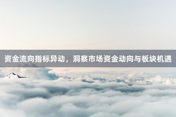 资金流向指标异动，洞察市场资金动向与板块机遇