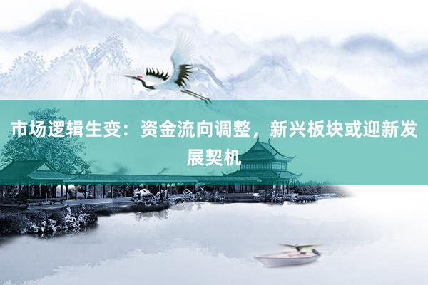 市场逻辑生变：资金流向调整，新兴板块或迎新发展契机