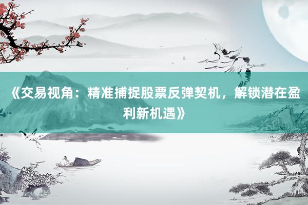 《交易视角：精准捕捉股票反弹契机，解锁潜在盈利新机遇》
