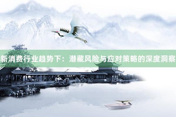 新消费行业趋势下：潜藏风险与应对策略的深度洞察