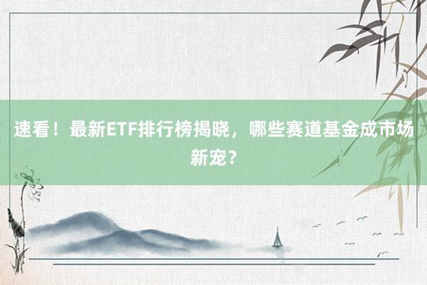 速看！最新ETF排行榜揭晓，哪些赛道基金成市场新宠？