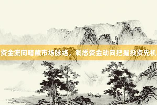 资金流向暗藏市场脉络，洞悉资金动向把握投资先机