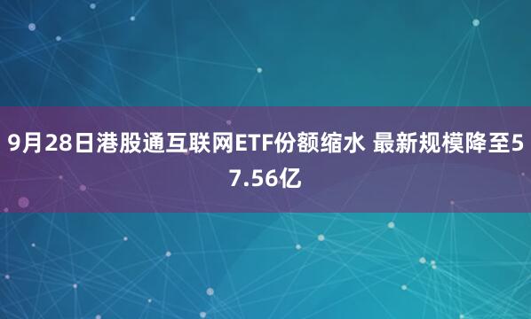 9月28日港股通互联网ETF份额缩水 最新规模降至57.56亿
